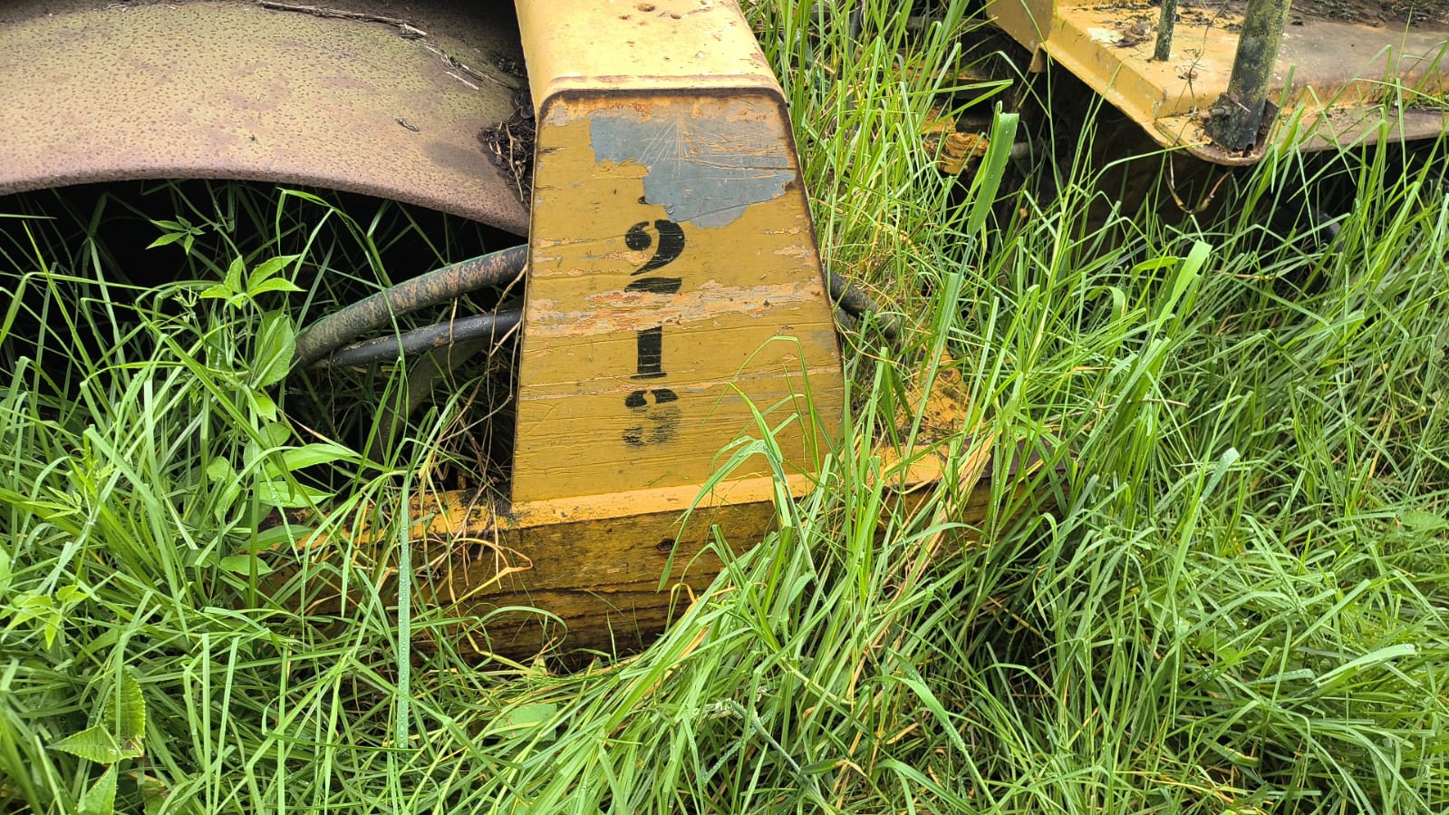 Vibrocompactador bitelli - Image 5