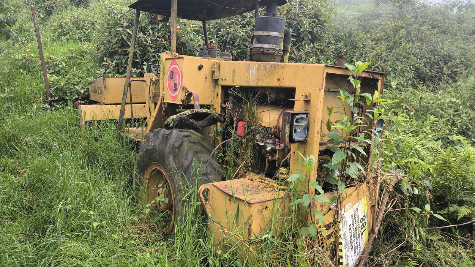 Vibrocompactador bitelli - Image 6