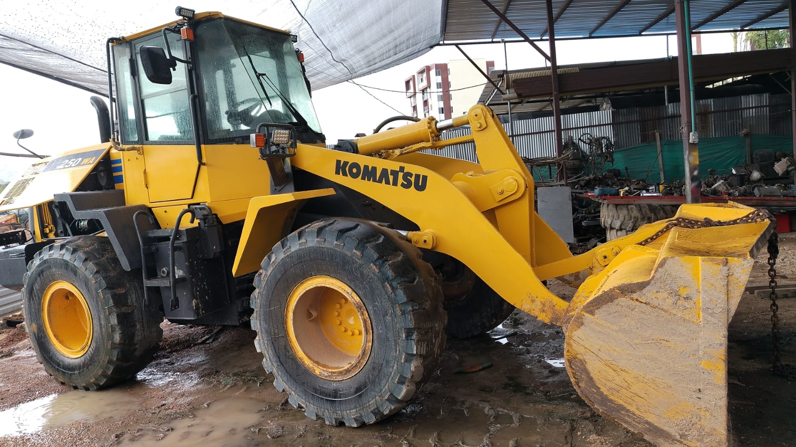 Cargador Frontal Komatsu 250WA - Image 3