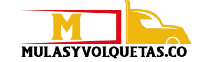 1_Mesa_de_trabajo_1-removebg-preview